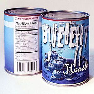 SF blueberry hassle cover.jpg